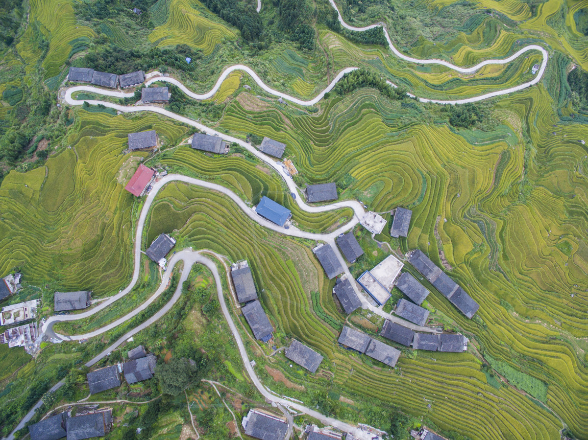 山路弯弯