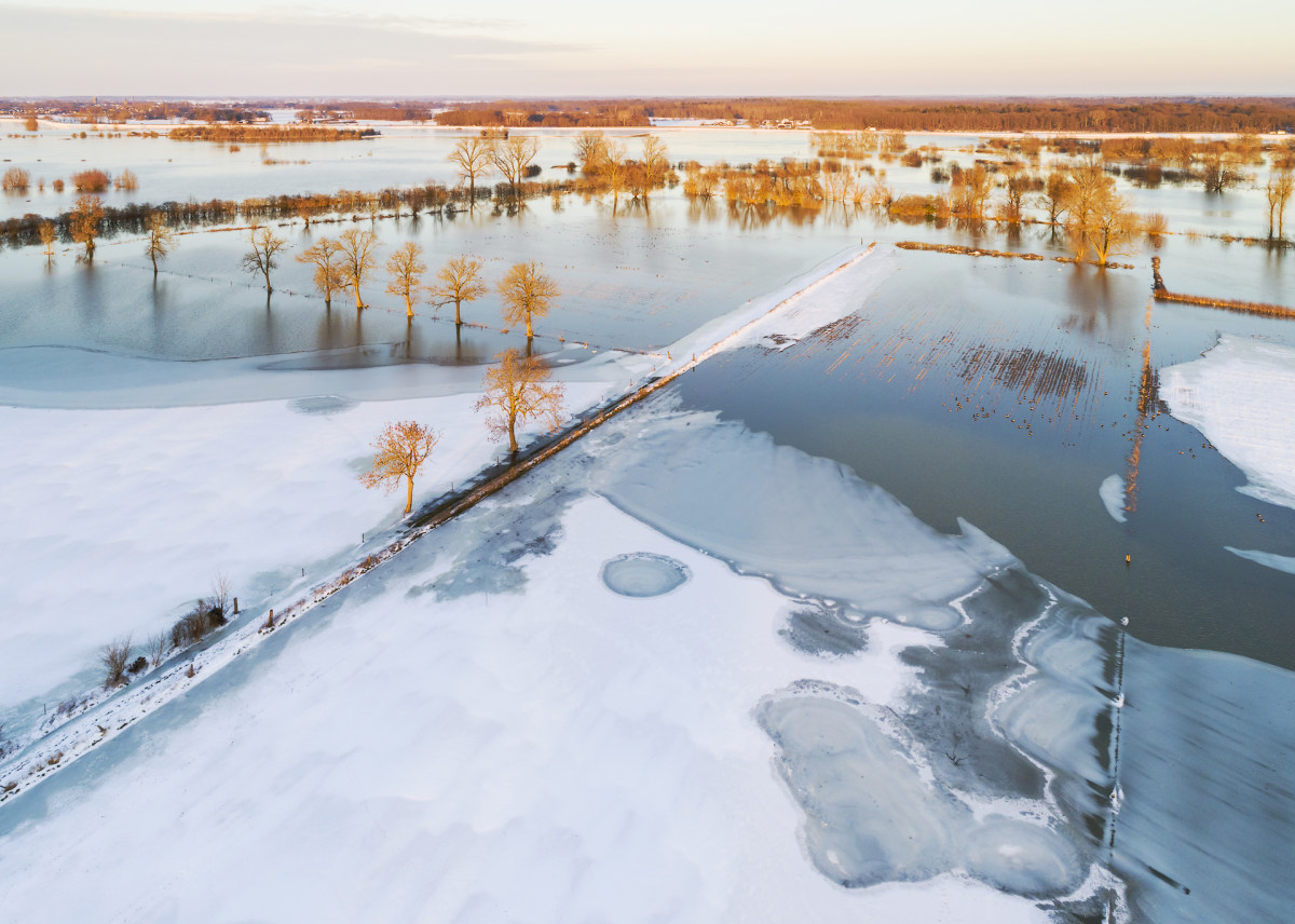 frozenfloodplains