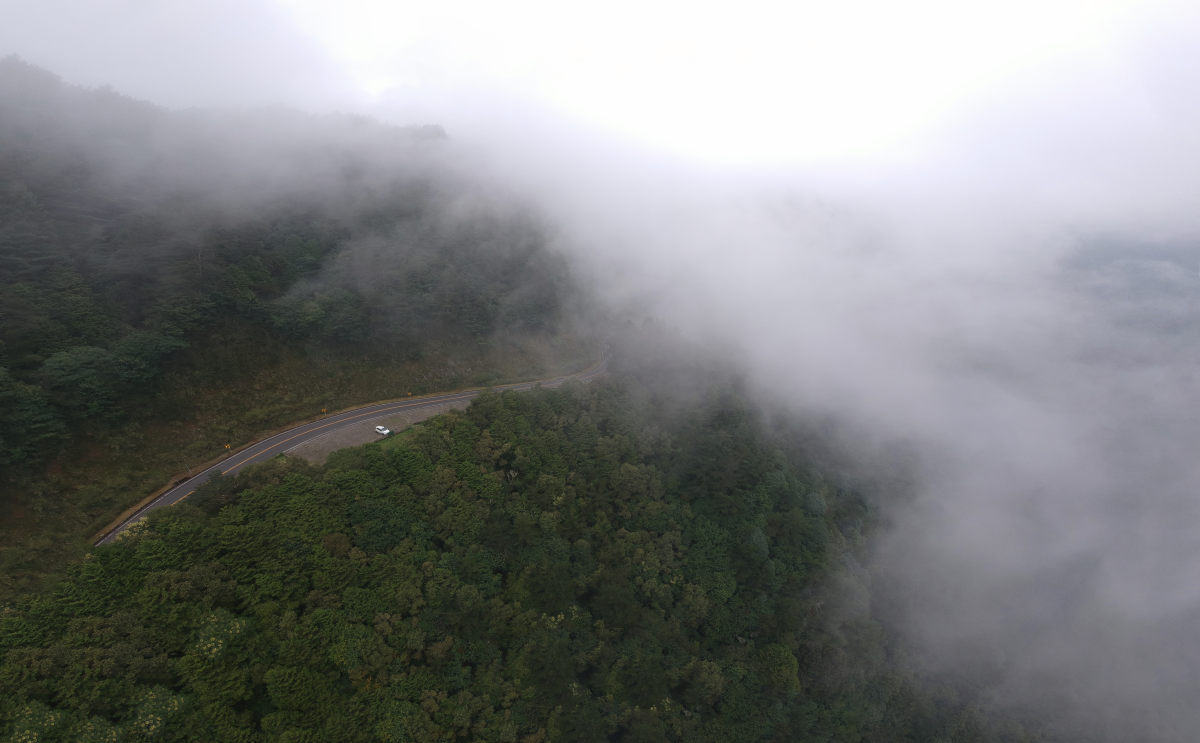 壁纸 风景 天气 烟雾 1200_743