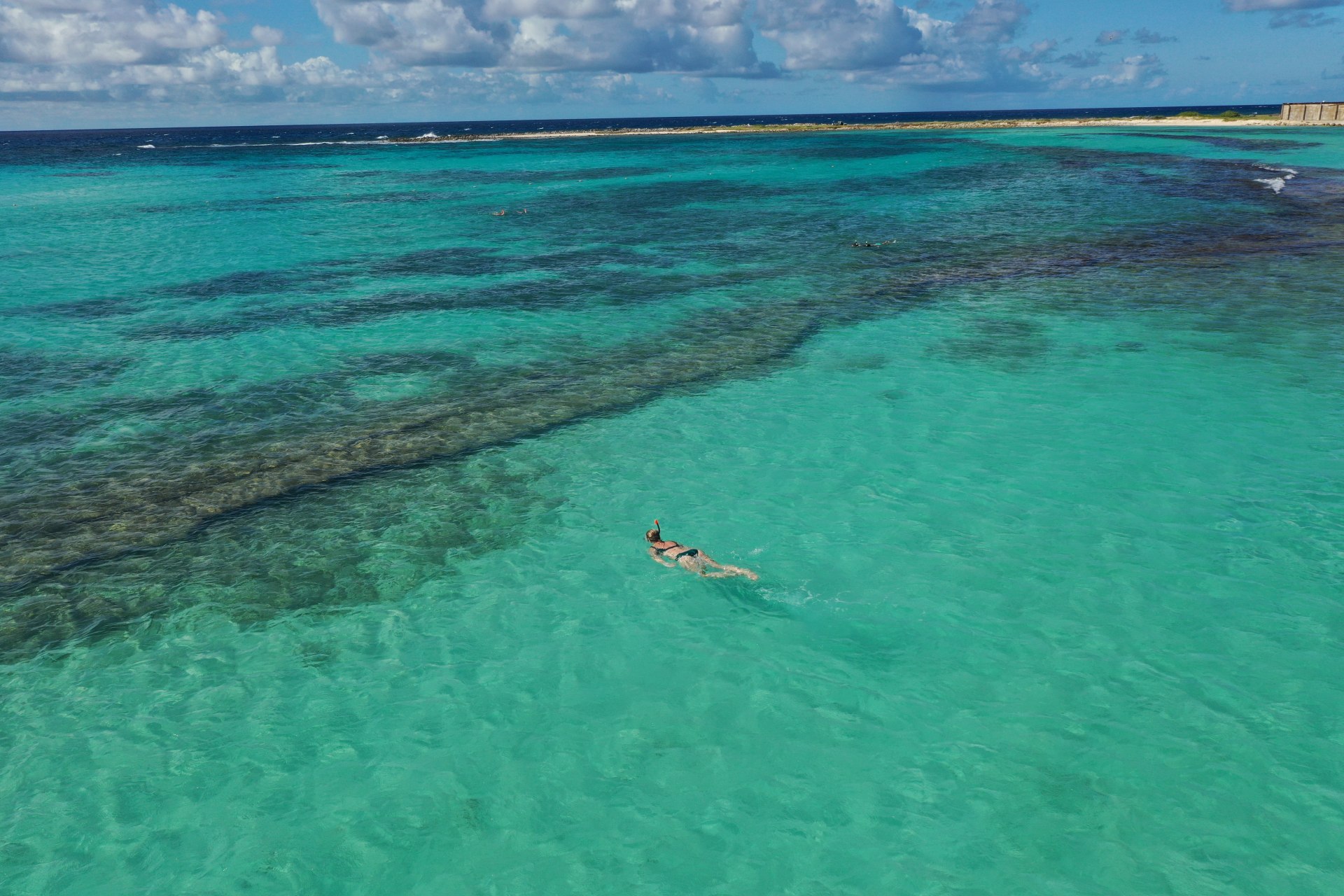 beautiful swim in the ocean 💙 来自 elijah hannah | 天空之城