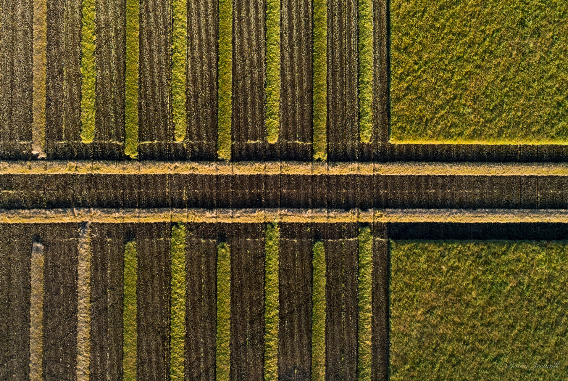 crop patterns ii 来自 dawn jernaill | 天空之城