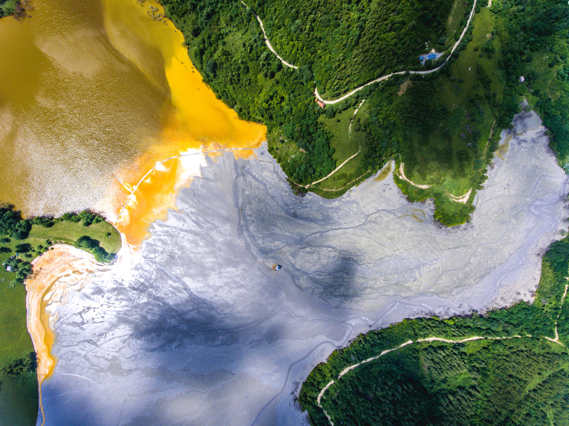 geamana lake disaster: pollution with cyanides