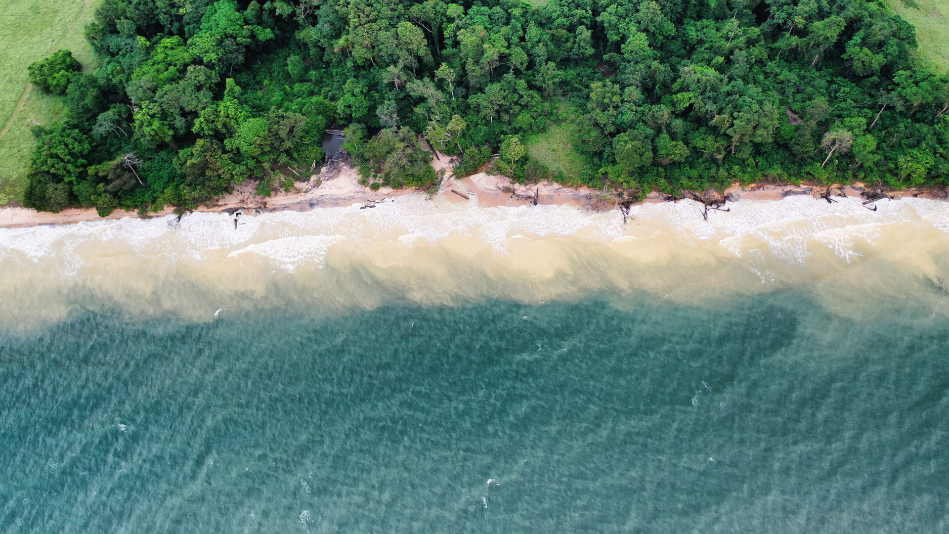 rivers and colors in the ocean after a tropical rain in nyonié