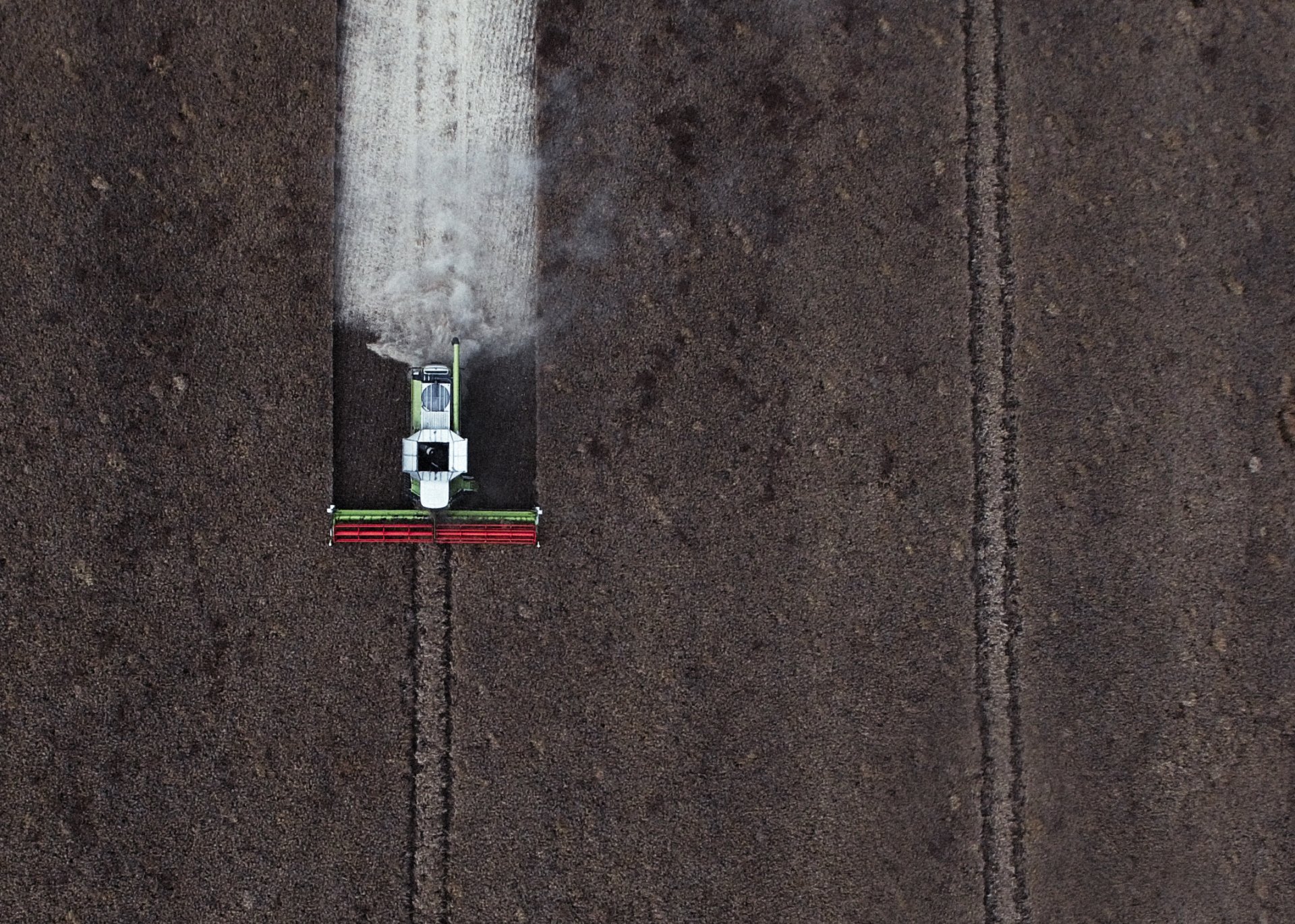 first cut through the oilseed