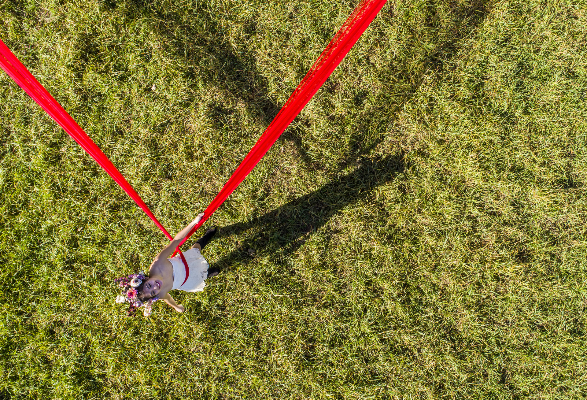 tangled up just tango on