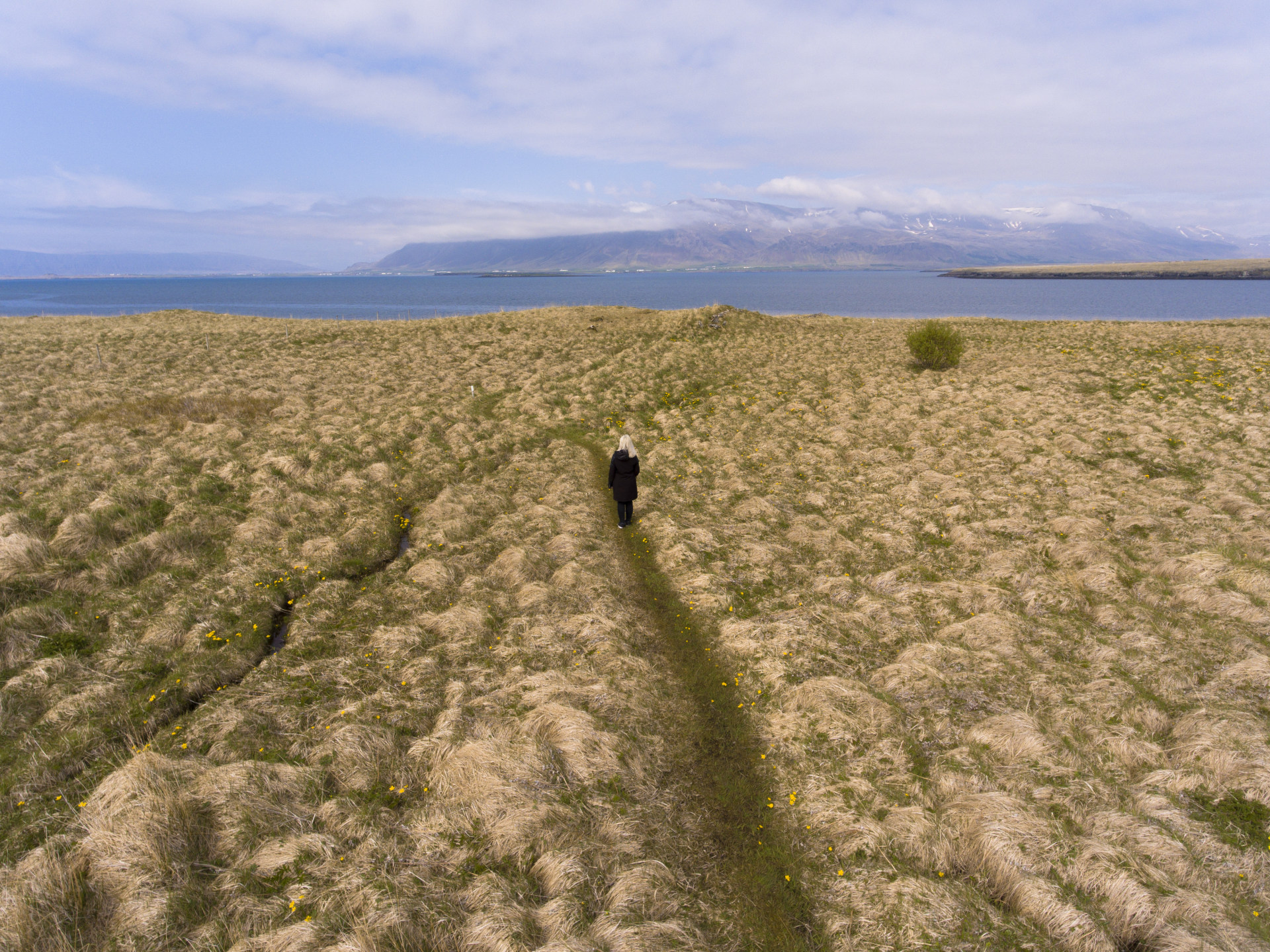 This beautiful island is a short ferry ride away from the Reykjavík harbour. The landscape was very surreal and unique. As I was walking in the grassland, I could hear nothing but silence and a strange noise that I first thought is a bird, but somehow was