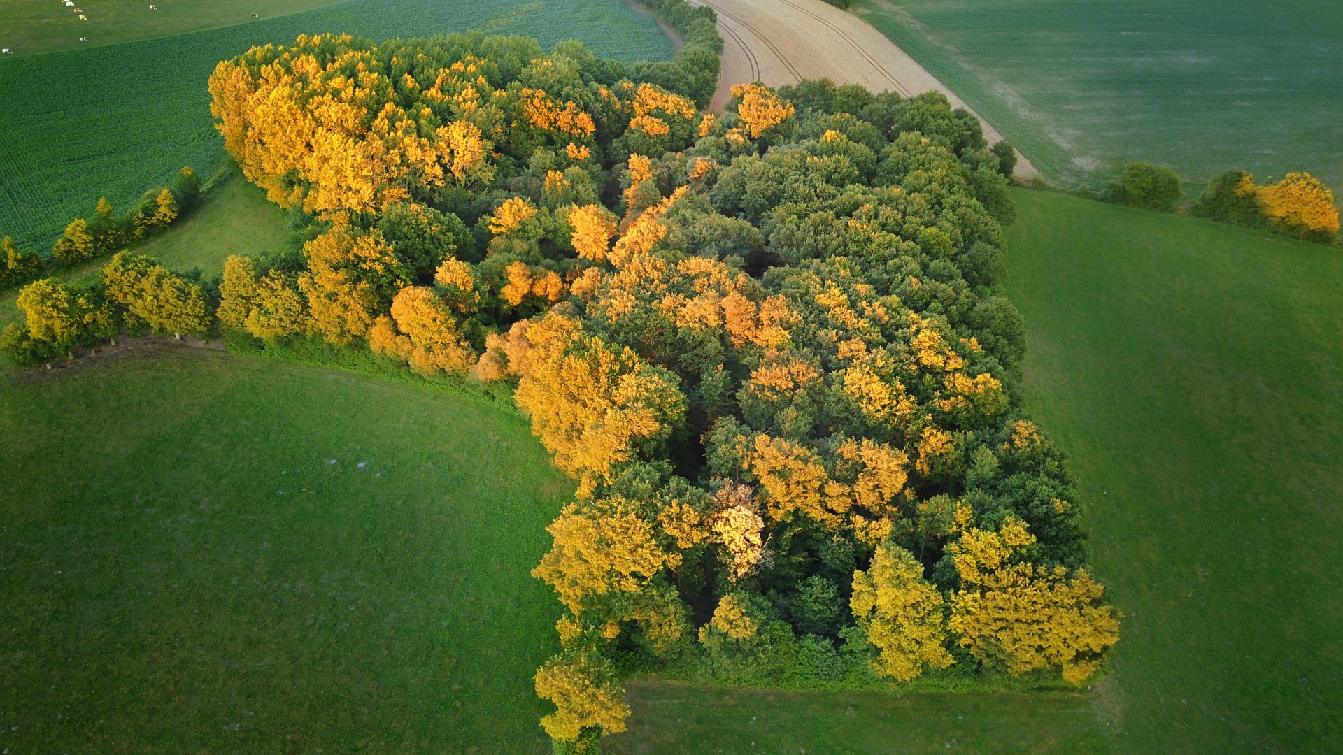 haystack and sunset operation 3