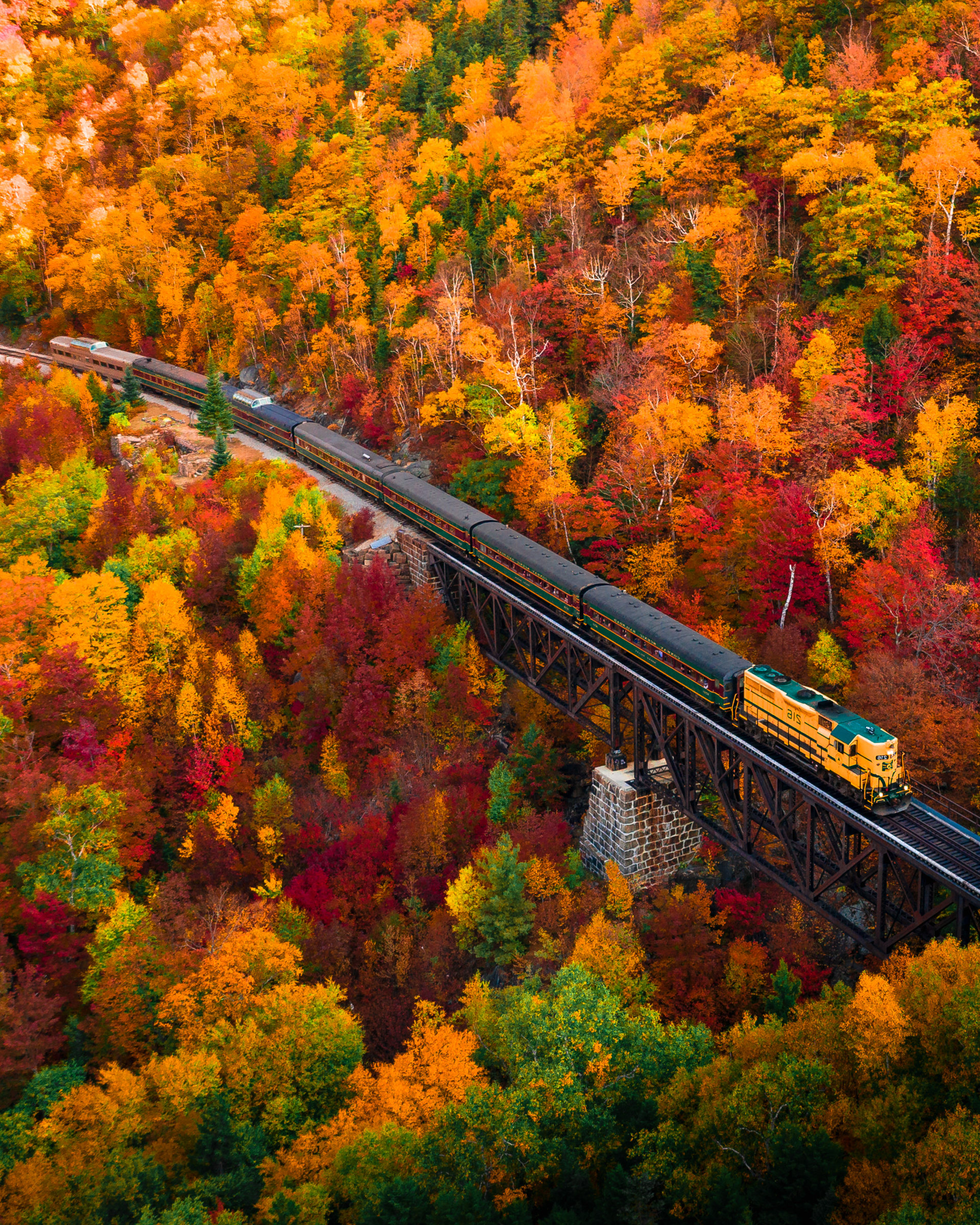 autumntrain