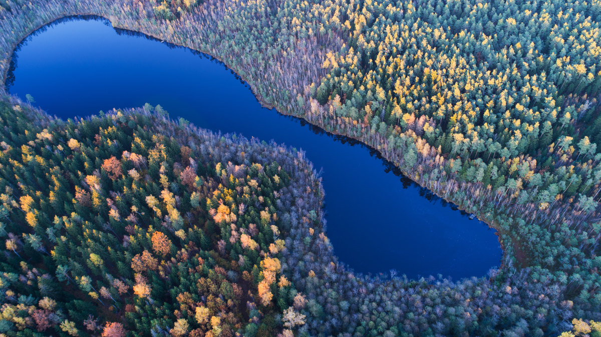 lake in the autumn forest by taden | skypixel drone photo