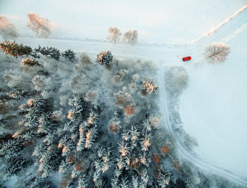White Wonderland