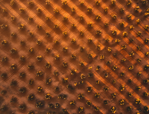 GEOMETRY OF LIQUID GOLD