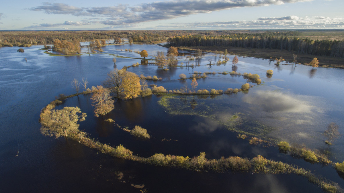 thebendsofthefloodplain