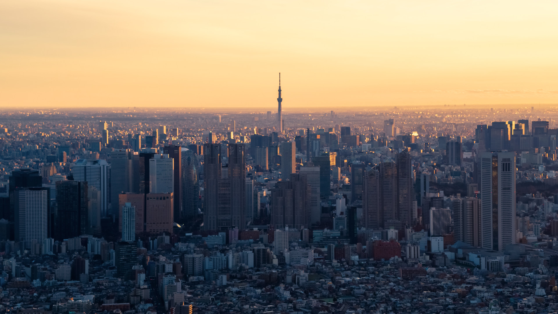 东京城市上空