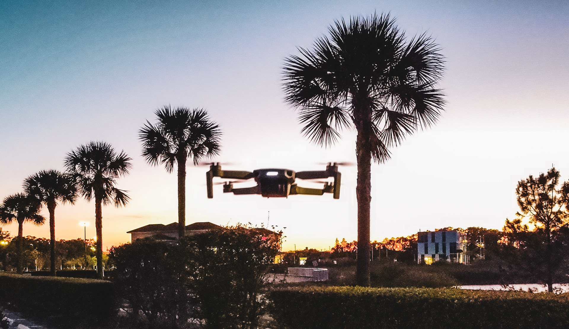 djimini2 - #florida