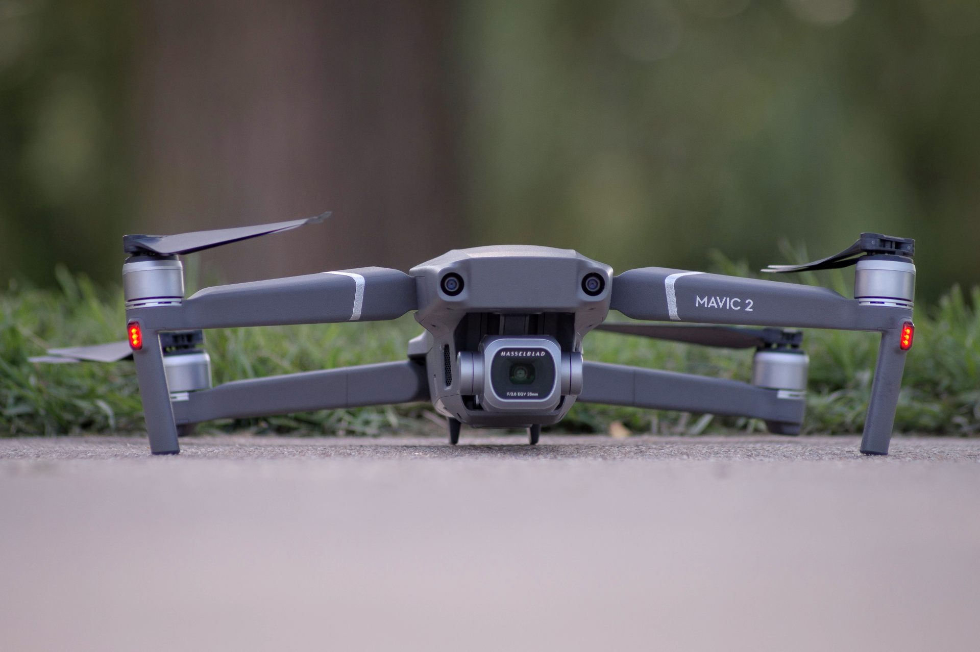 dji mavic 2 pro in the wild
