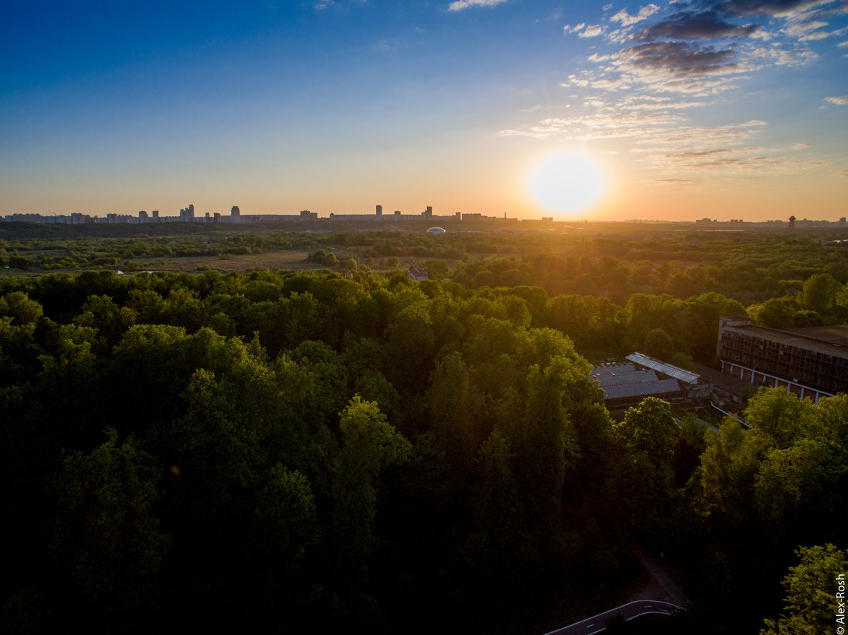 Парк солнце