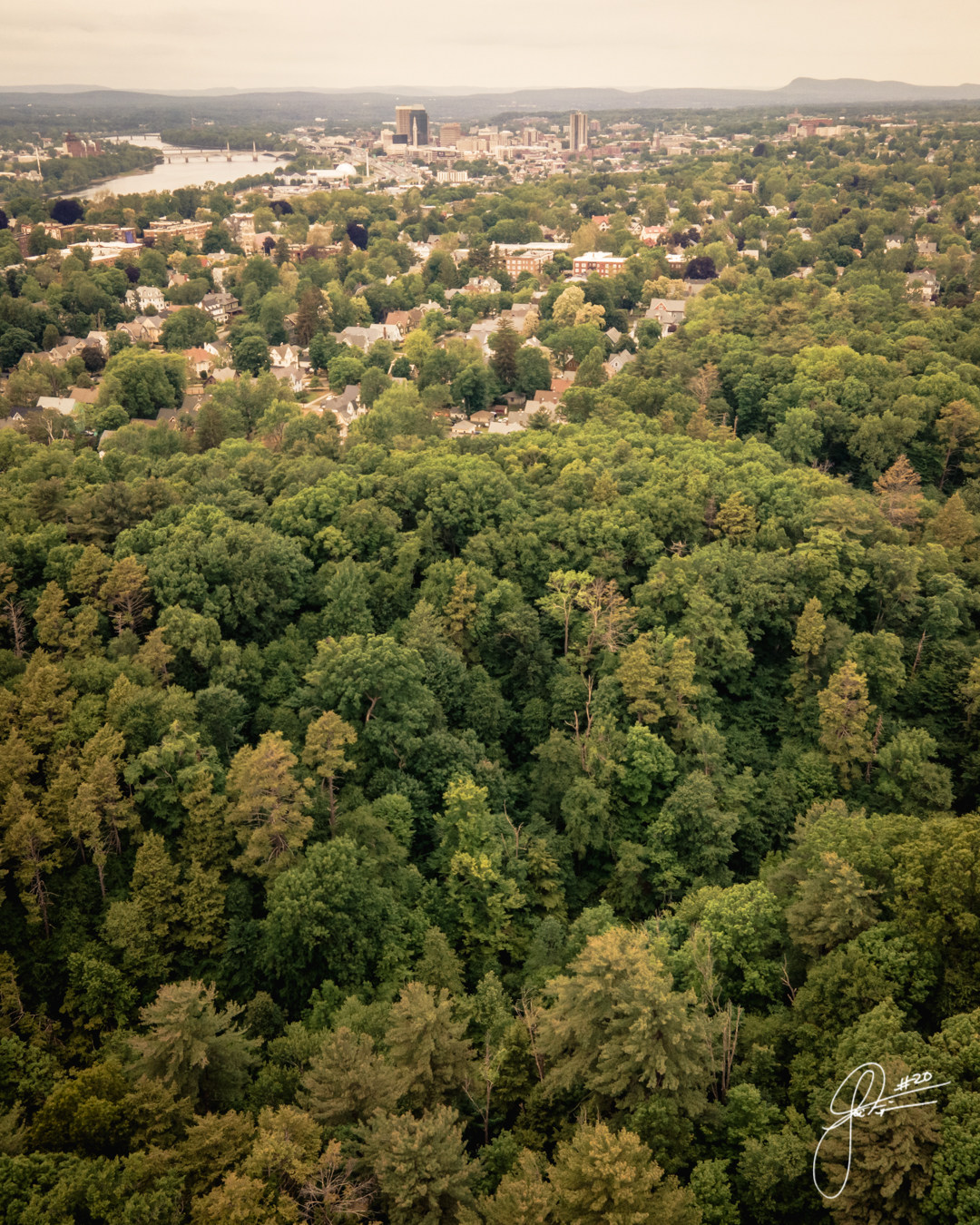 cityshotfromforestpark