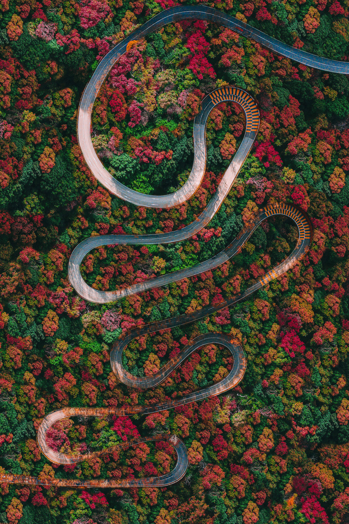 栃木県 いろは坂 By Jariay Yang Skypixel