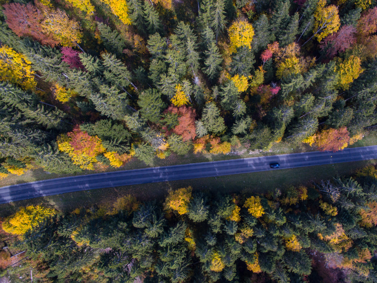 Mountain Road