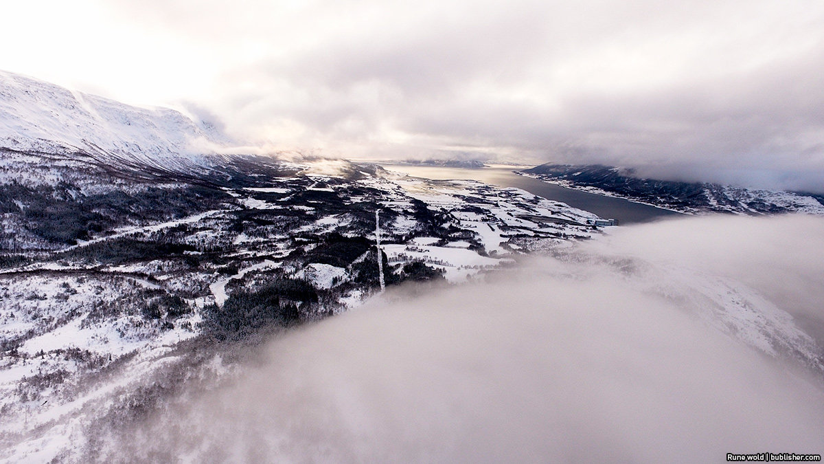 Over the fog
