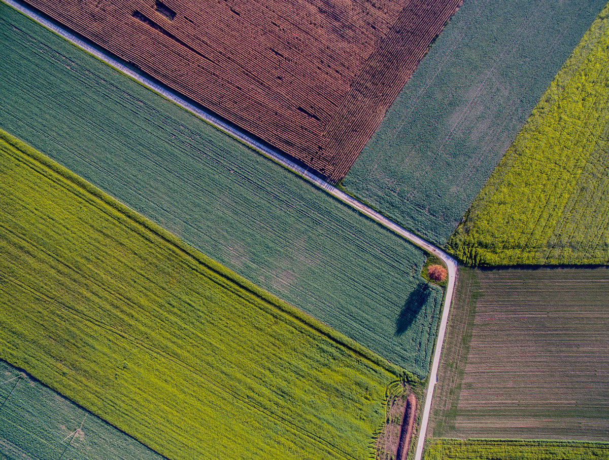 Field Abstract